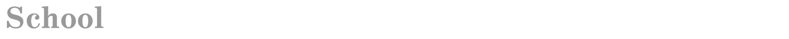 School font preview